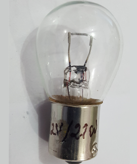 bulbs